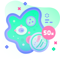 دروس نشاط العلوم